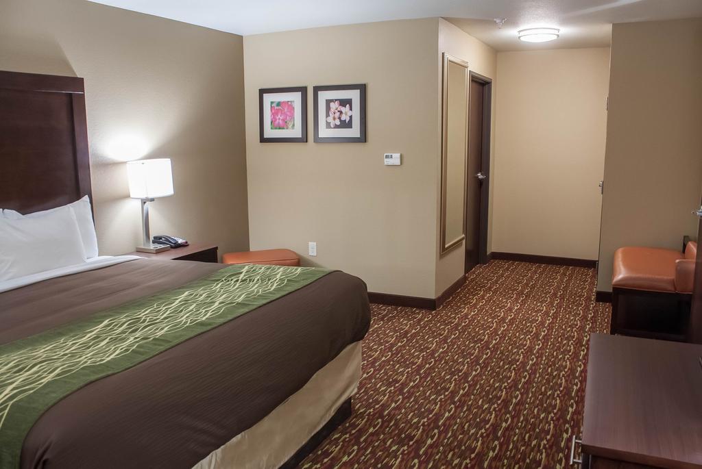 Comfort Inn & Suites Artesia Værelse billede