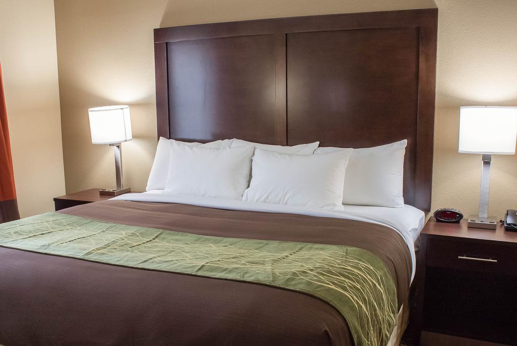 Comfort Inn & Suites Artesia Værelse billede