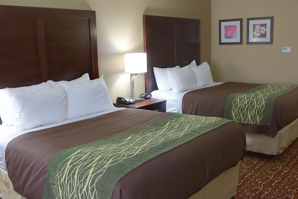Comfort Inn & Suites Artesia Værelse billede