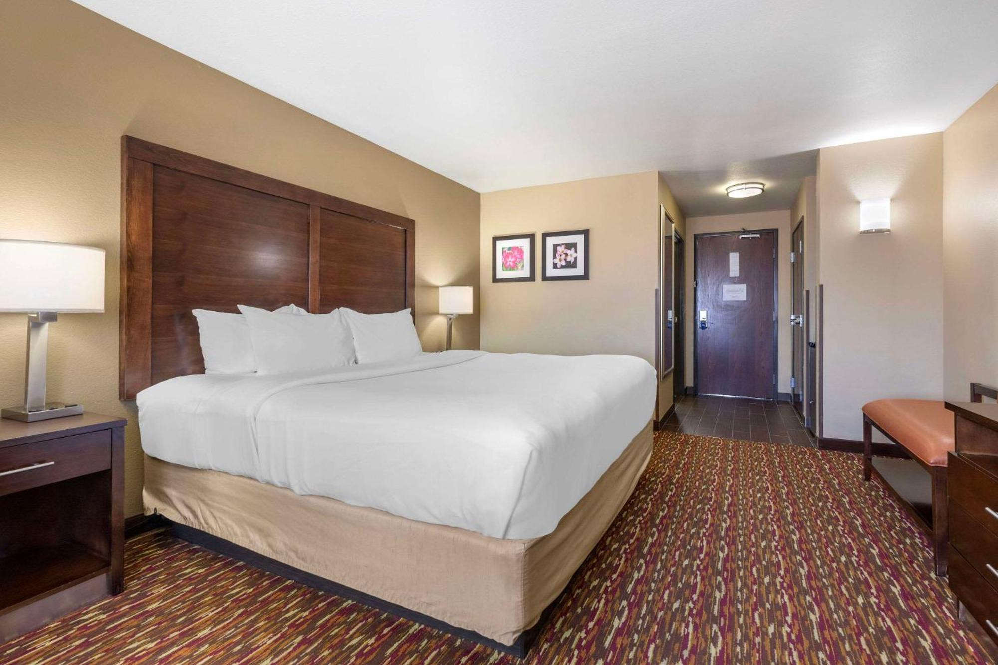 Comfort Inn & Suites Artesia Eksteriør billede