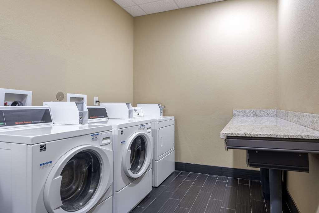 Comfort Inn & Suites Artesia Faciliteter billede